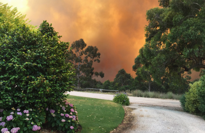 The Cudlee Creek Fire - Riposte Wines
